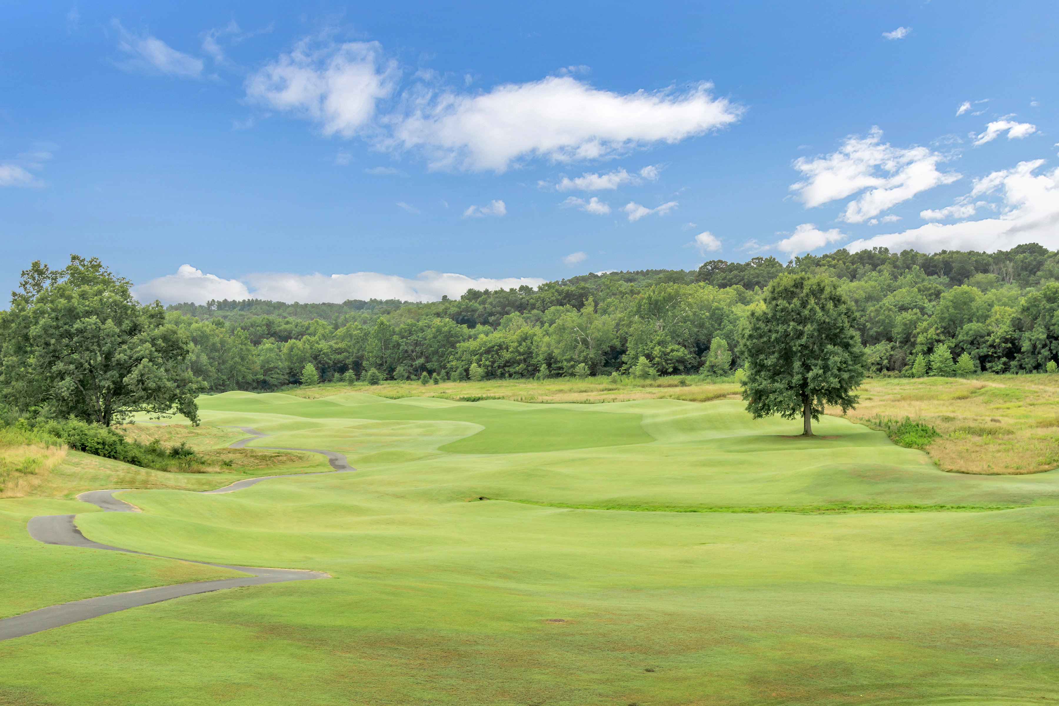 Idyllic view of Glenmore golf course, surrounded by trees against a blue sky