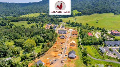 Galaxie Farm